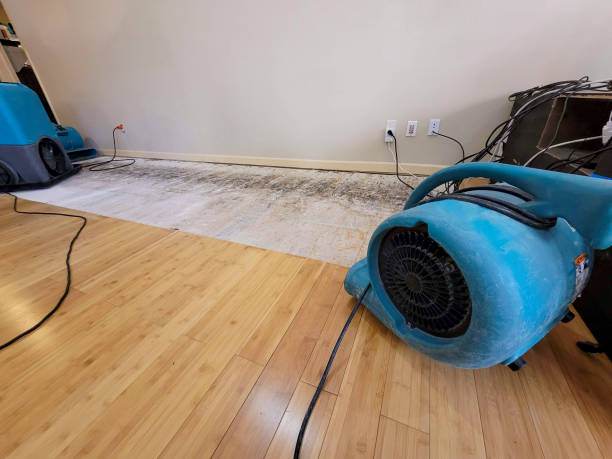 Reliable Basement Flood Cleanup contractor in Menifee, CA by Hirex Water Damage