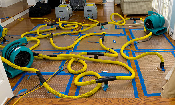 Professional Basement Flood Cleanup technician working in Menifee, CA